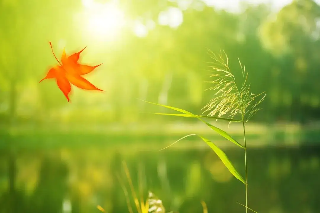 月建、季节与二十四节气