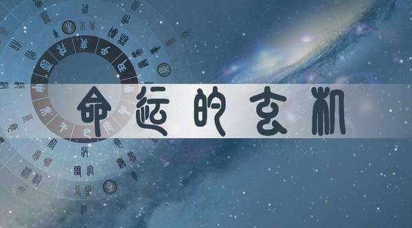 构建模型3.png